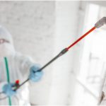 All you want to know about mold remediation process