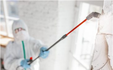 All you want to know about mold remediation process