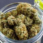 Safes for Humidity and Vapor Control for Cannabis Storage and Research