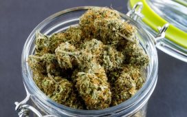 Safes for Humidity and Vapor Control for Cannabis Storage and Research