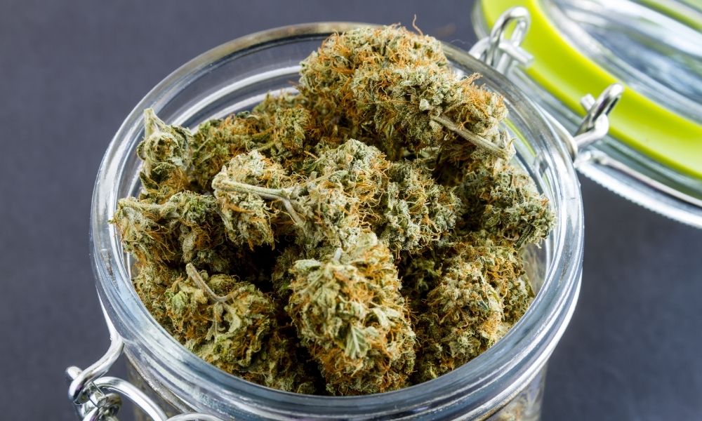 Safes for Humidity and Vapor Control for Cannabis Storage and Research