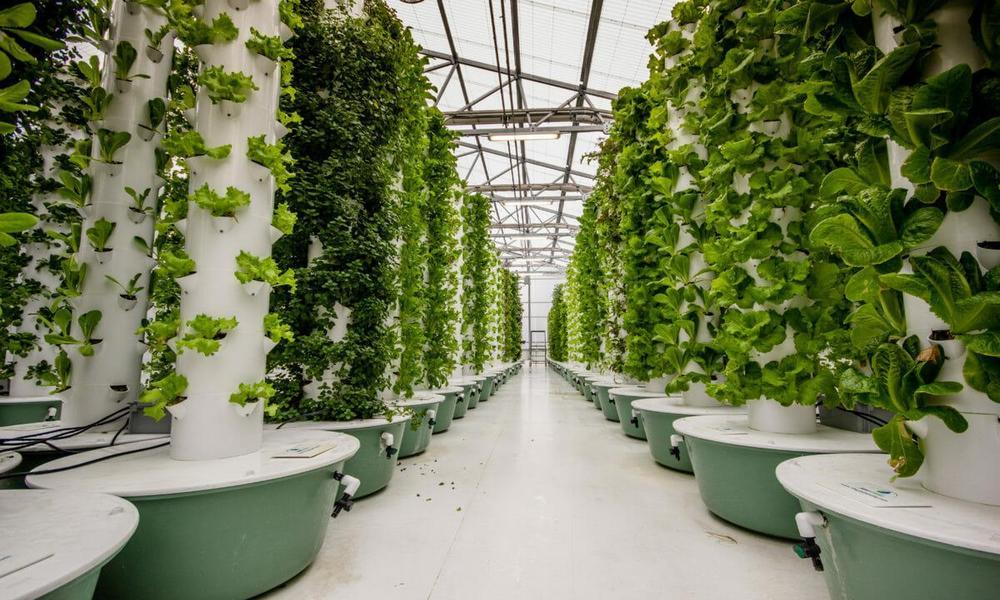 Aeroponic Gardening Idea Bring Home Your Garden