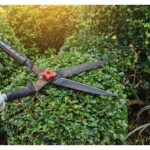 Smart Summer Gardening
